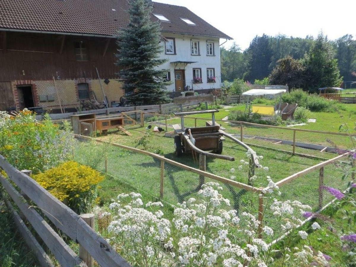 Carlo Apartamento Wangen im Allgäu Exterior foto