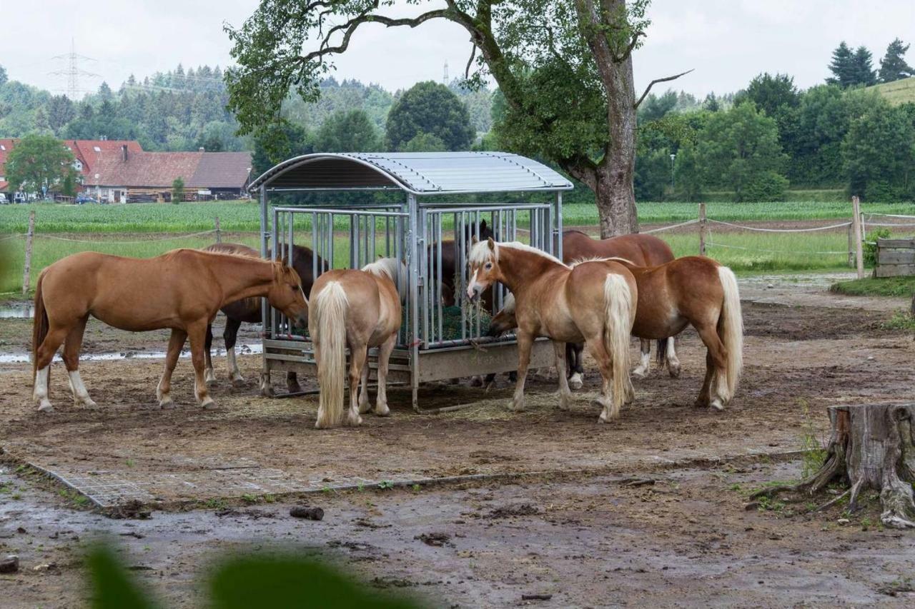 Carlo Apartamento Wangen im Allgäu Exterior foto