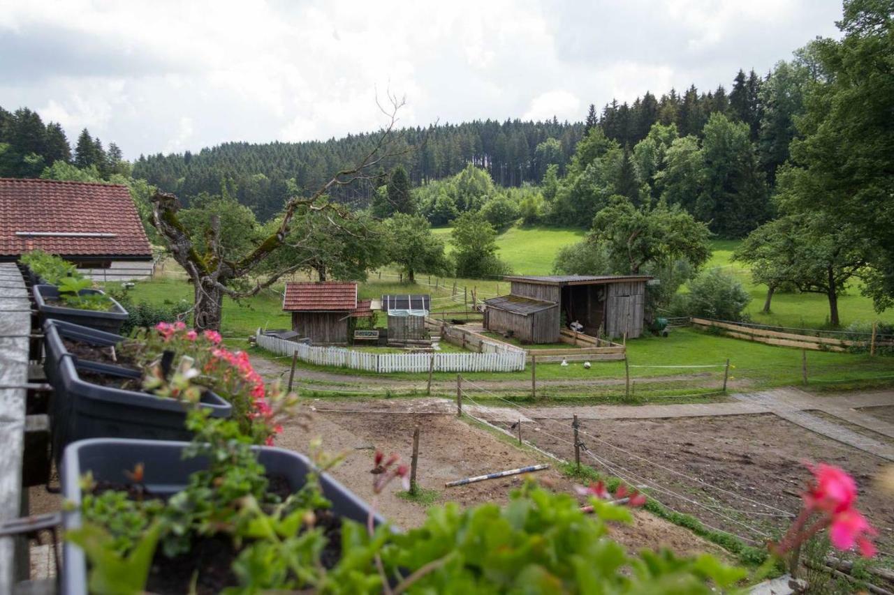 Carlo Apartamento Wangen im Allgäu Exterior foto