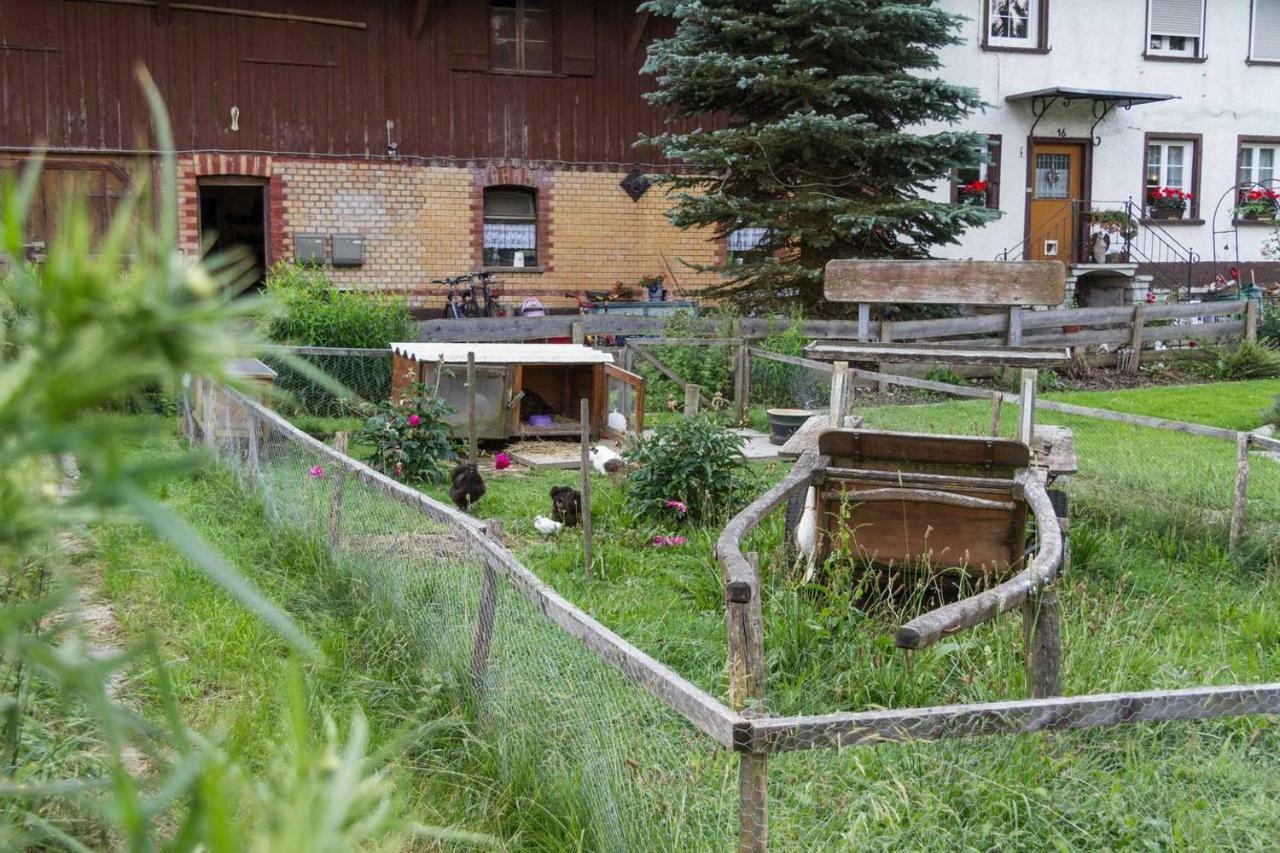 Carlo Apartamento Wangen im Allgäu Exterior foto