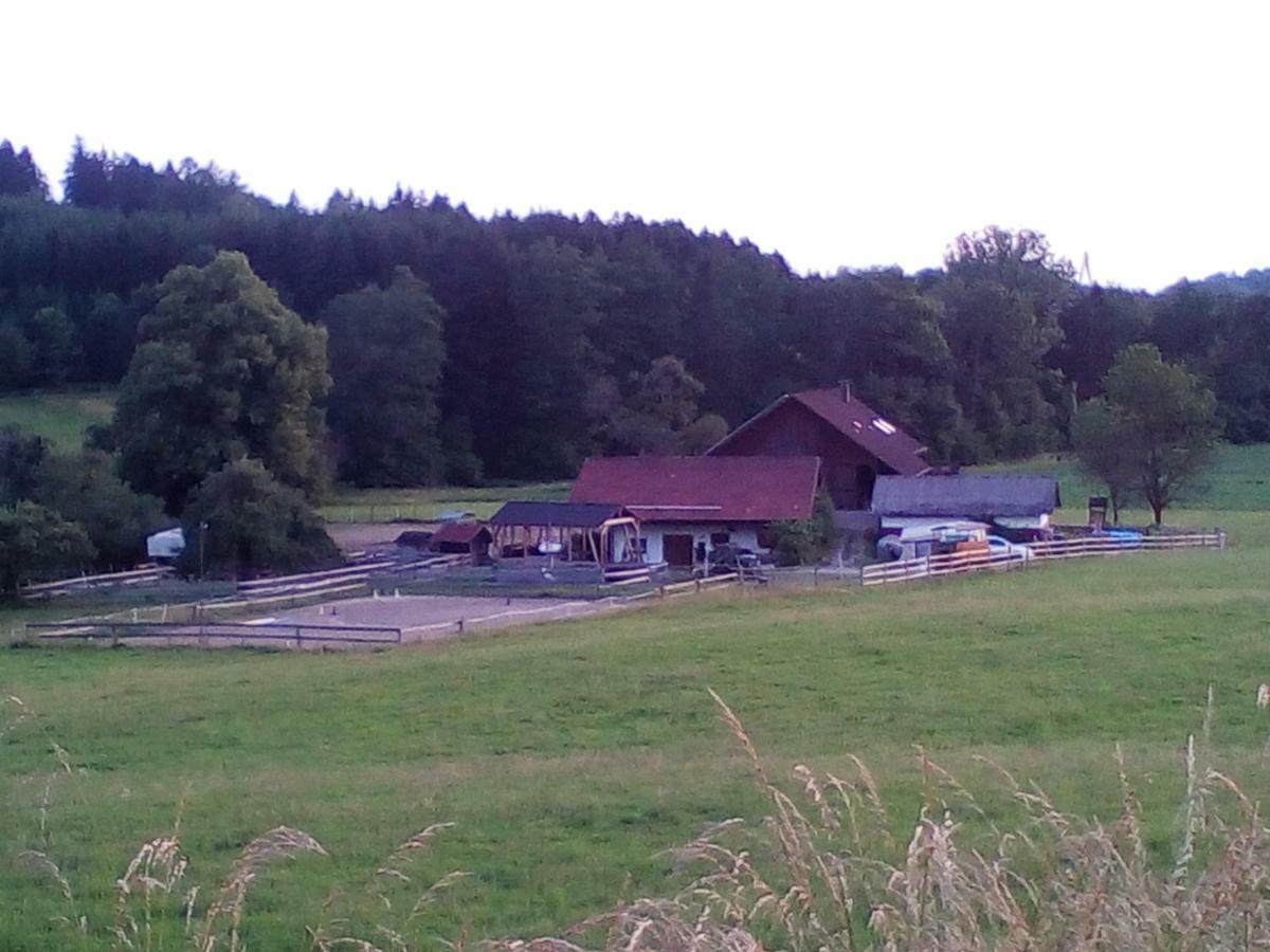Carlo Apartamento Wangen im Allgäu Exterior foto